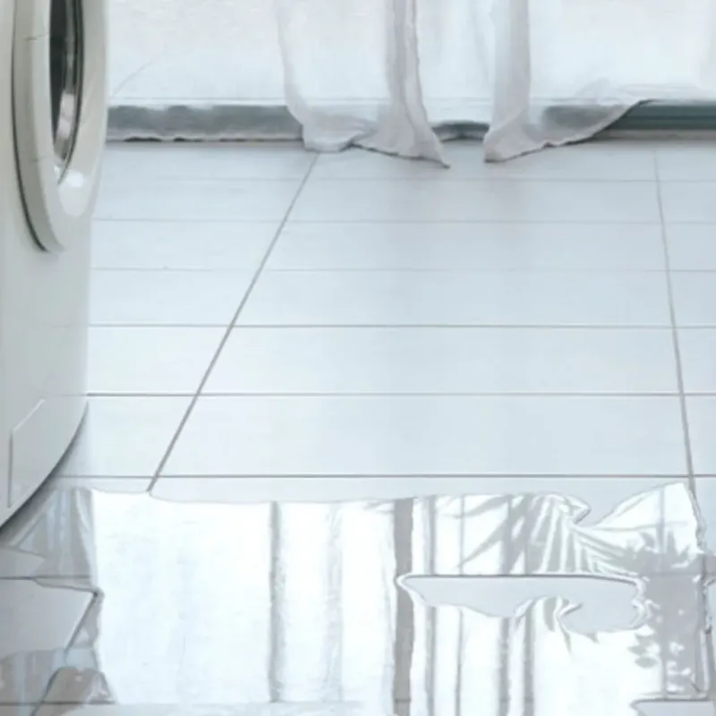 Appliance Leak Cleanup in Golden Beach, MD