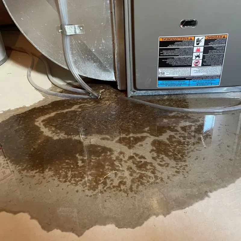 Pipe Burst and Leak Restoration in Golden Beach, MD